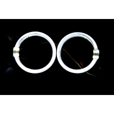 Ангельские Глазки CREE-LED 80 мм. для G5 масок  