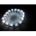Ангельские глазки LOTUS-LED SQR - Квадратные 3"